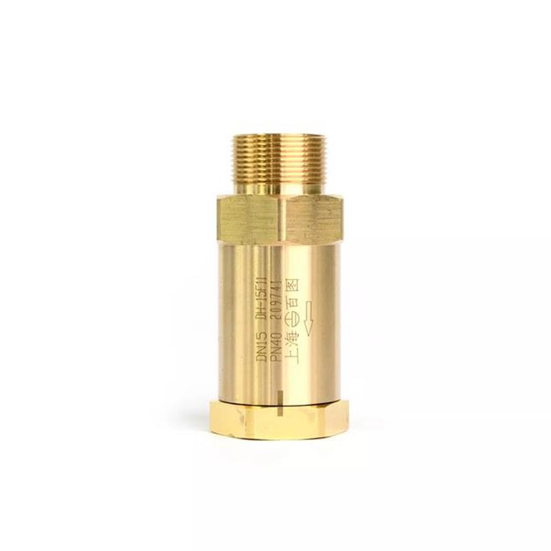Cryogenic Check-valve