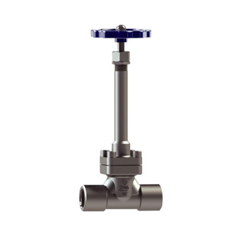 Cryogenic Globe Valve